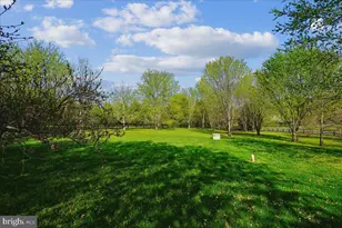 17273 Westfield Pl, Hamilton, VA 20158 - Photo 83