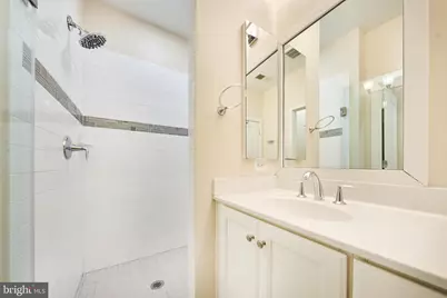 256 Bluemont Branch Terrace SE, Leesburg, VA 20175 - Photo 75