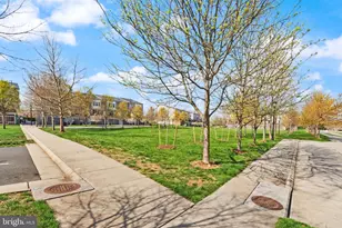 42279 Riggins Ridge Terrace, Brambleton, VA 20148 - Photo 51