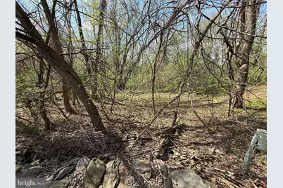 Philomont Rd, Purcellville, VA 20132 - Photo 5