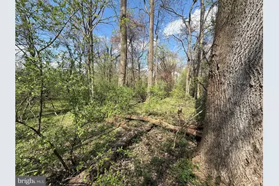 Philomont Rd, Purcellville, VA 20132 - Photo 3