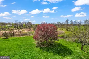 37619 Wright Farm Dr, Purcellville, VA 20132 - Photo 69