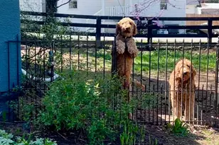 18 E Loudoun St, Round Hill, VA 20141 - Photo 31