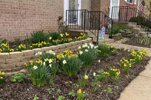 221 Beacon Dr, Sterling, VA 20164 - Photo 13