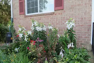 221 Beacon Dr, Sterling, VA 20164 - Photo 13