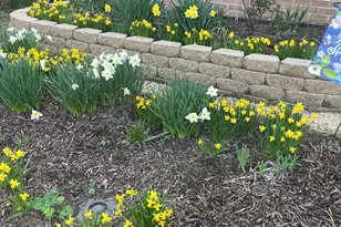 221 Beacon Dr, Sterling, VA 20164 - Photo 17