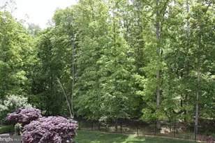 43295 Fieldsview Ct, Leesburg, VA 20176 - Photo 3