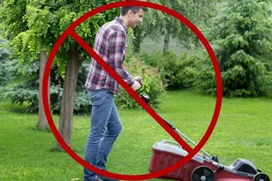 20251 Kiawah Island Dr, Ashburn, VA 20147 - Photo 85