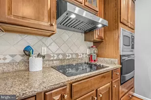 25409 Lisa Terrace, Aldie, VA 20105 - Photo 51