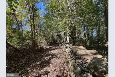 35940 Birch Hollow Lane, Purcellville, VA 20132 - Photo 75