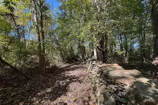 35940 Birch Hollow Ln, Purcellville, VA 20132 - Photo 75