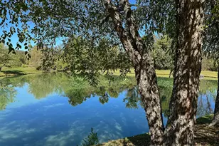 35940 Birch Hollow Ln, Purcellville, VA 20132 - Photo 79