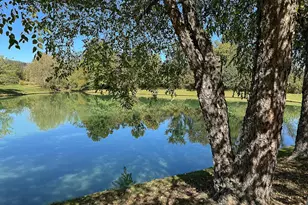 35940 Birch Hollow Ln, Purcellville, VA 20132 - Photo 67