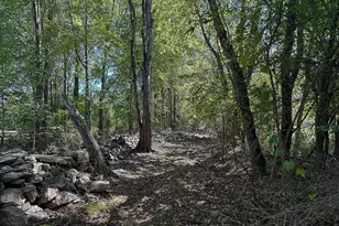 35940 Birch Hollow Ln, Purcellville, VA 20132 - Photo 73