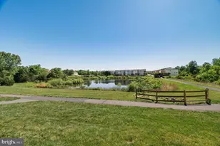 25139 Hummocky Terrace, Aldie, VA 20105 - Photo 73
