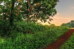 41960 Barnsdale View Ct, Ashburn, VA 20148 - Photo 127