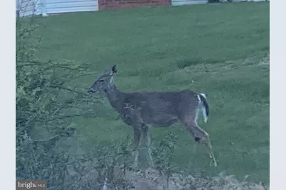 24548 Lenah Road, Aldie, VA 20105 - Photo 27