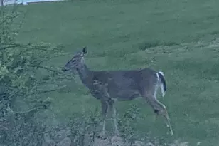 24548 Lenah Rd, Aldie, VA 20105 - Photo 27