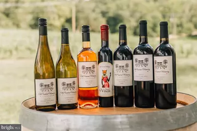 41122 Clearfield Meadow Drive, Aldie, VA 20105 - Photo 143