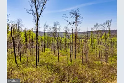 Snider Lane, Purcellville, VA 20132 - Photo 9