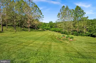 35124 Greyfriar Dr, Round Hill, VA 20141 - Photo 83