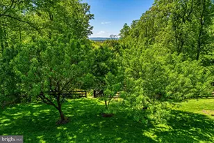 12707 Furnace Mountain Rd, Lovettsville, VA 20180 - Photo 121