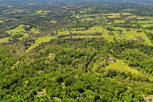 12707 Furnace Mountain Rd, Lovettsville, VA 20180 - Photo 129
