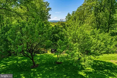 12707 Furnace Mountain Road, Lovettsville, VA 20180 - Photo 15
