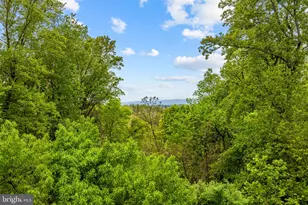 12707 Furnace Mountain Rd, Lovettsville, VA 20180 - Photo 123