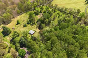 13121 Orrison Rd, Lovettsville, VA 20180 - Photo 9
