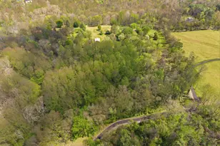 13121 Orrison Rd, Lovettsville, VA 20180 - Photo 13