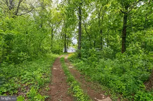20711 Blue Ridge Mountain Rd, Paris, VA 20130 - Photo 77