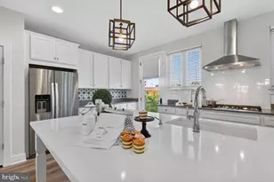 42348 Zenith Terr, Brambleton, VA 20148 - Photo 7