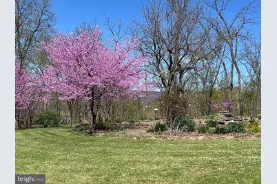 35130 Paxson Road, Round Hill, VA 20141 - Photo 3