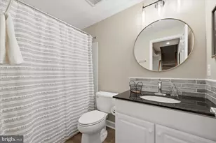 21164 Laurel Springs Dr, Leesburg, VA 20175 - Photo 67