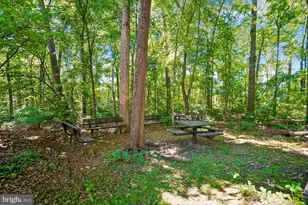 43131 Huntsman Square, Broadlands, VA 20148 - Photo 11