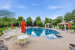 42167 Canary Grass Square, Aldie, VA 20105 - Photo 53