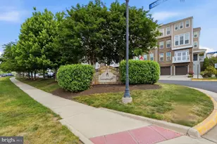 42167 Canary Grass Square, Aldie, VA 20105 - Photo 51
