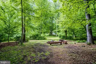 40935 Grenata Preserve Pl, Leesburg, VA 20175 - Photo 131