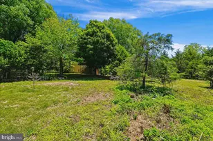 41065 Hickory Shade Ln, Lovettsville, VA 20180 - Photo 65