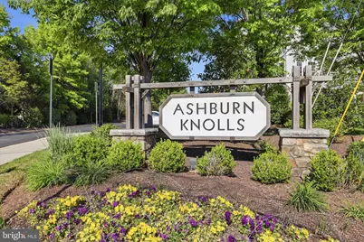43450 Sweet Brandy Terrace, Ashburn, VA 20147 - Photo 3