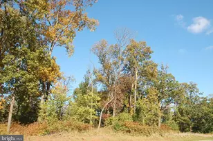 43975 Eastgate View Drive, Chantilly, VA 20152 - Photo 19