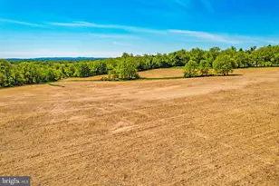 36279 & 36285 E Loudoun St, Round Hill, VA 20141 - Photo 13