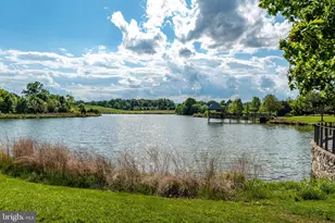 23421 Bald Cypress Ln, Aldie, VA 20105 - Photo 71