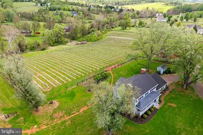 40817 Browns Lane, Waterford, VA 20197 - Photo 11
