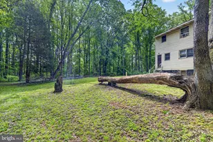 39600 Bluegrass Ln, Aldie, VA 20105 - Photo 15