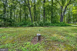 39600 Bluegrass Ln, Aldie, VA 20105 - Photo 3