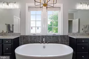 41209 Speckled Wren Ct, Aldie, VA 20105 - Photo 45