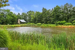 23518 Lovage Ct, Aldie, VA 20105 - Photo 105