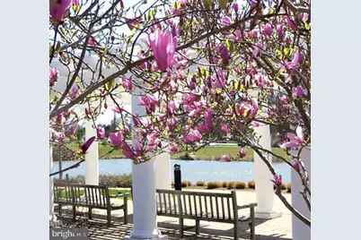 19251 Harlow Square, Leesburg, VA 20176 - Photo 29